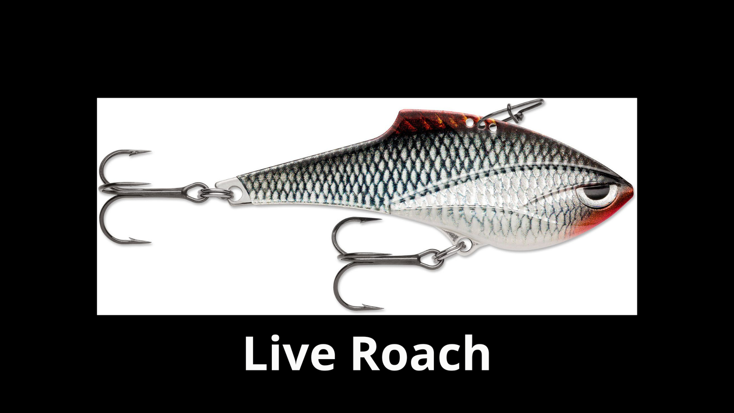 RAPALA Rippin' Blade