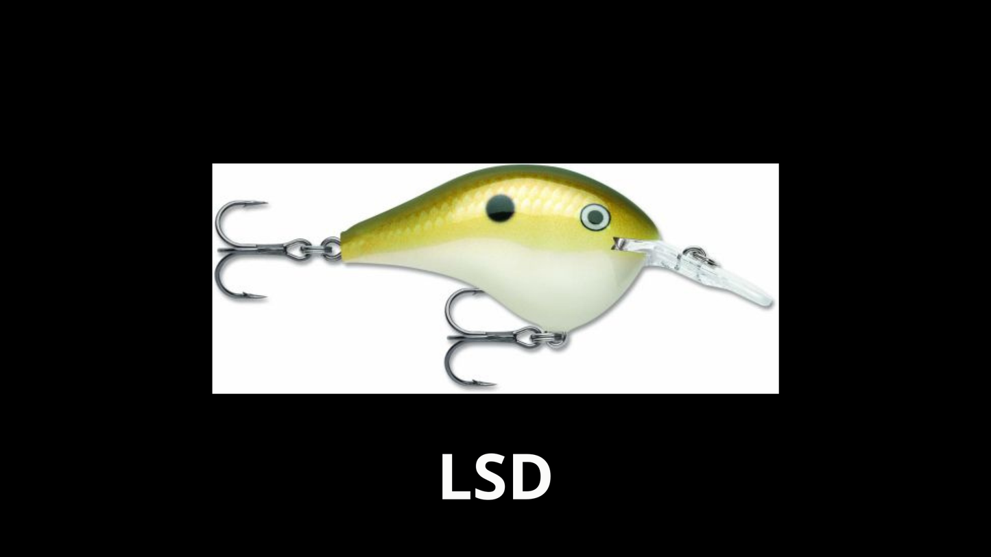 Rapala DT® (Dives-To) Series